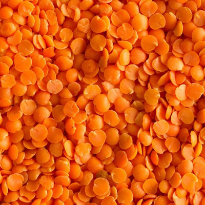 red-split-lentils