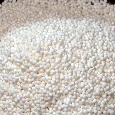 sago-seed