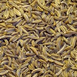 cumin