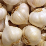 garlic-bulbs